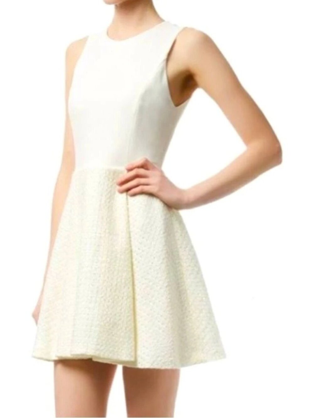 V-6. Alice + Olivia Emerson Bouche Textured Mini Dress Ivory